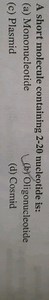A short molecule containing 2-20 nucleotide is: (a) Mononucleot... | Filo