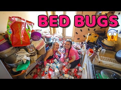 FREE Cleaning For a Single Dad With a Bed Bug Infested Home ❤️ | CLEANING WITH SCRUB DADDY