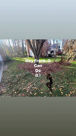 Frank Stewart on Reels