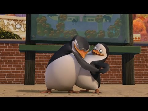 Skipper & Private Moments