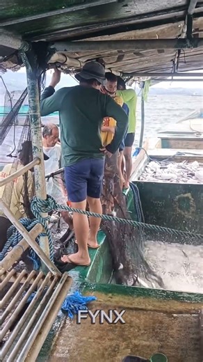 Floating Fish Farming: Future of Smart Aquaculture 🐟🌊 #shorts ‪@Fynx09‬