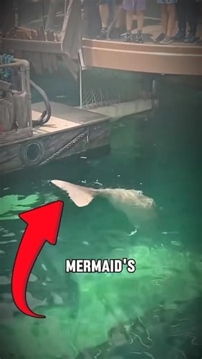 The Cutest 1-Ton Ocean Giant You Can’t Touch 😱