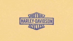 The Harley-Davidson bar and shield logo is one of the most recognizable in the world, representing freedom and individuality. The logo has evolved throughout the years and has gone through different variations, including the iconic bald eagle artwork and the stars-and-stripes "1" The black-and-orange color scheme represents passion, vibrance, energy, and is an eye-catching safety feature on the road. The eagle logo symbolizes freedom, strength, and courage. Harley-Davidson is right up there for 