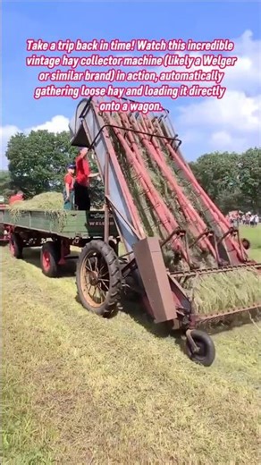 Vintage Farm Machinery: Rare Hay Loader Demo at an Old Threshers Festival #festival #farming #farmer