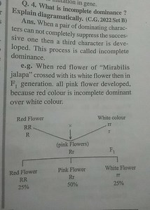 Q. 4. What is incomplete dominance ? Explain diagramatically. (... | Filo