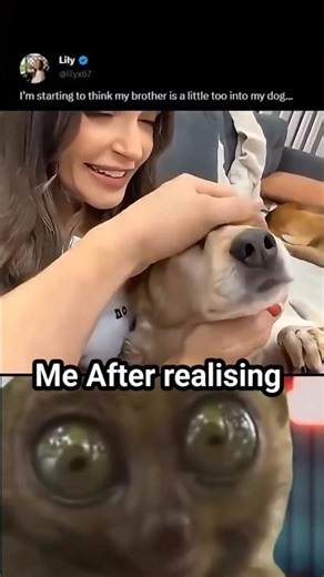 #bassbooosted