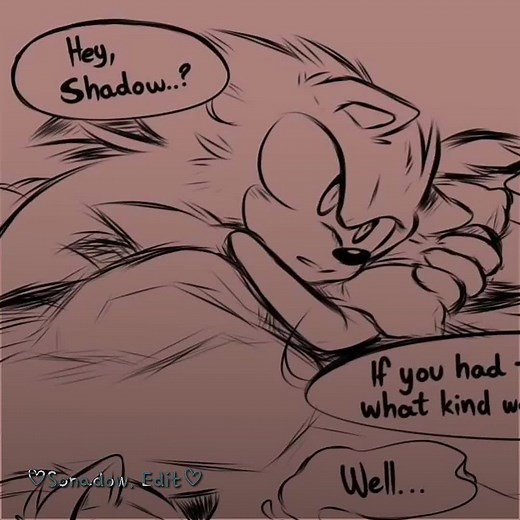 The Epic Sonadow Moment: Shadow and Sonic Unite!