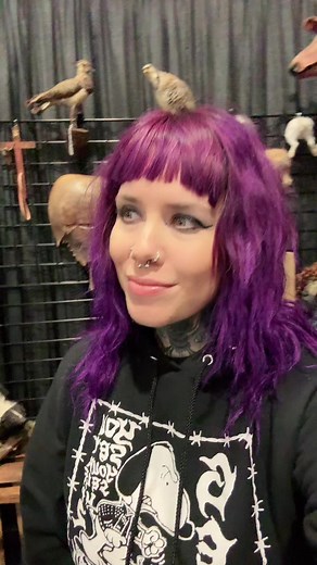 ✨ Just when you think you’ve seen it all … 🤭Find the best weird stuff at Oddities & Curiosities Expo — like these lovely alligator ladies from @gold_dust_collective 💀 Visit OdditiesAndCuriositiesExpo.com for more info about our upcoming events! #odditiesandcuriositiesexpo #creepitreal #weirdandwonderful | Oddities & Curiosities Expo