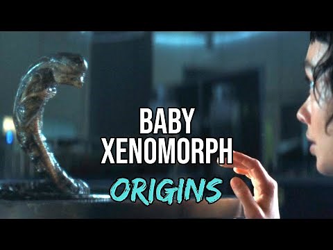 Baby Xenomorph Origins From Alien: Earth Explained | The New Variant of Chestburster