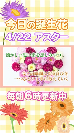 今日の誕生花と癒しのメッセージ🌸 #誕生日おめでとう #4月22日 #アスター