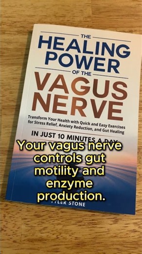 The Vagus Nerve Explained: What It Is, Why It Matters & How to Train It Today