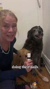 Silent Groom Pro gently trims your dog’s nails with ultra-quiet performance… 🐶