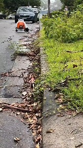 98K views · 1.2K reactions | Lawn edge making and clean hacks #cleaning #lawn #lawncare #landscape #outdoorliving #landscapedesign #cleaninghacks #Edge | Gardening & Landscape Ideas | Facebook