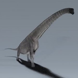 Brachiosaurus running at a speed of 24km/h (Animation by @Syn_JFD)