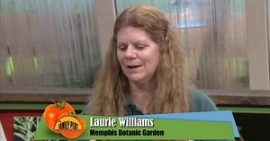 The Family Plot:Horticultural Therapy Season 4 Episode 439