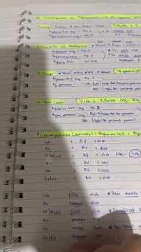 German Language Course