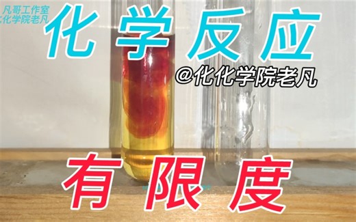 〔实验〕化学反应有限度！ 实验演示化学反应限度问题