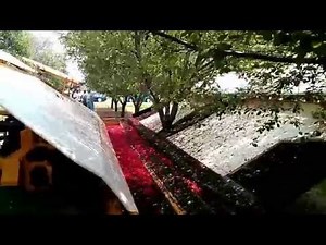 Tart Cherry Harvesting (Tree Shaking) in USA