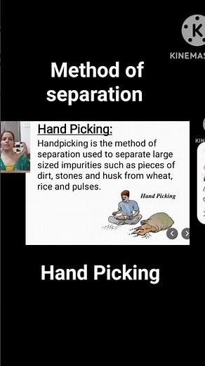 method of separation handpicking. #class6 #ncertscience #schoolscience #explained #handpickingmethod