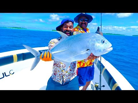 Monster Fish Hunting | Maldives | M4 Tech |