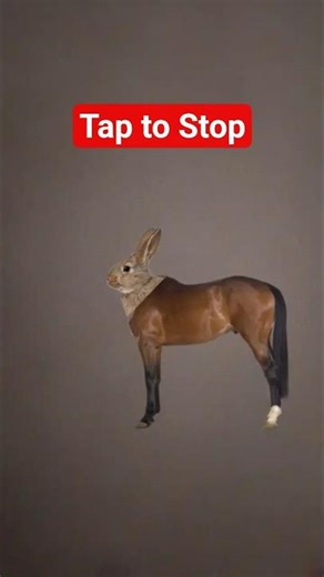 Tap to Stop #TapToStop #Shorts #TrendingShorts