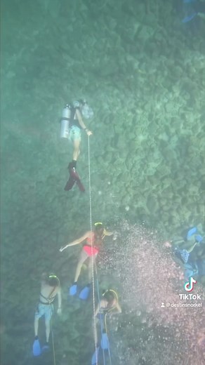 Come out with Destin Snorkel and see more with SNUBA! If you can swim you can SNUBA, no certification required! Our tours go out daily at 8:00am and 12:30pm. Call 850-269-2329 or book through our website destinsnorkel.com #destin #snuba #snubalife #destinfwb #Hey30a #ftwaltonbeach #miramarbeach | Destin Snorkel