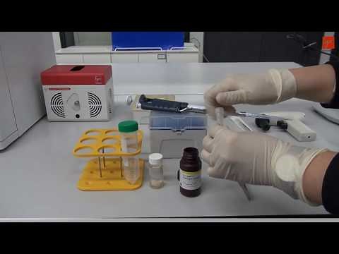 X CLARITY ETC II tissue clearing system workflow