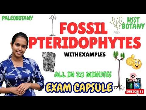 Paleobotany- Fossil Pteridophytes | HSST Botany |Exam oriented✅