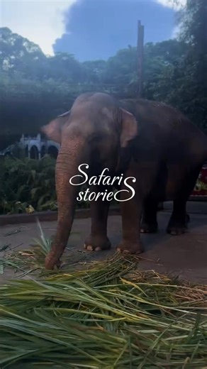 女✨ Your Ultimate Bali Adventure Starts Here! Get ready for a full day...