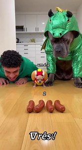Ele pegou o "Cachorro-Quente" errado! 🌭😂 Fantasias Pets | Bloom Pets