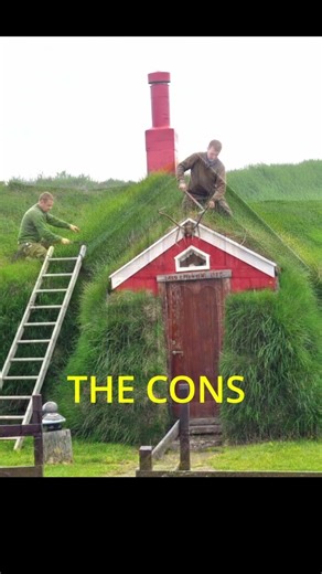 THE TURF HOUSES #building #architecture #iceland #engineer #engineering #shorts #culture #history