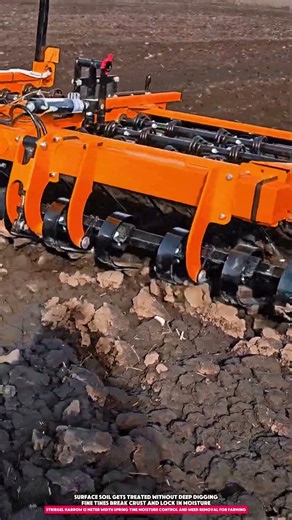 Striegel Harrow 12 Meter Width Spring Tine Moisture Control and Weed Removal for Farming