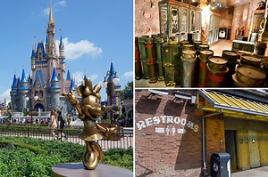 Disney theme park guests are pooping while waiting on line for rides