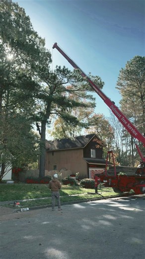 Before ➡️ After ✨ One less problem tree and a big difference you can actually see. Safe removal, careful cleanup, and results that speak for themselves.  Call or message us today for a free estimate  Website: www.deforesttrees.com  Phone: (757) 553-1864 #BeforeAndAfter #TreeRemoval #TreeService #SatisfyingCleanup #ProfessionalTreeWork #VirginiaBeach #HamptonRoads #FreeEstimates  | DeForest Tree Service | Facebook