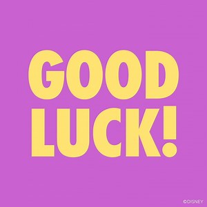 10K views · 367 reactions | The virtual Disney Princess 10K is here! We know you’ll totally rule. After all, runDisney knows best! ✨ #PrincessHalfVirtual | runDisney | Facebook