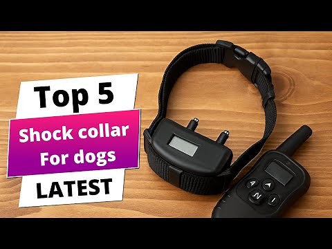 ✅ Best shock collar for dogs: Shock collar for dogs (Buying Guide)