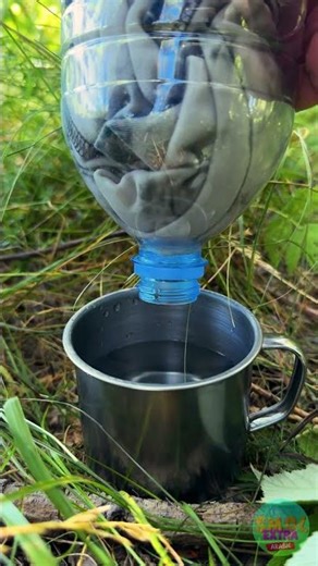 اكتشف سر تنقية المياه في الطبيعة! 🌊✨