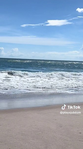 🌊 “Morning Serenity at Playalinda Beach” 🌊 🎥: Start your day with the calming sounds of the ocean waves crashing against the shore. Close your eyes, take a deep breath, and let the natural rhythm of Playalinda wash away the stress. 👣: Imagine the feel of warm sand beneath your feet and the gentle breeze on your face. This is the ultimate escape. 🔊: Volume up! Let the sound of the waves bring you a moment of peace. 🌅 📍: Playalinda Beach, Florida – where nature’s soundtrack plays all day lo