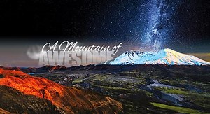 Cougar Washington - Visit Mt St Helens