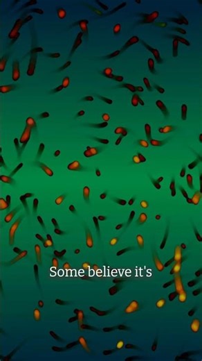 “Life on Mars 🧬