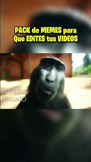 Estos SON LOS MEJORES MEMES para EDITAR tus VIDEOS