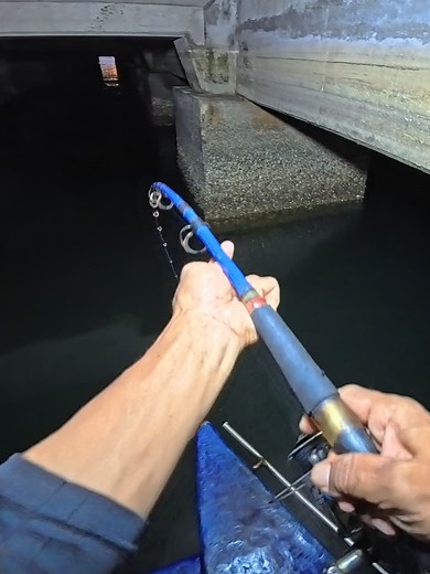 Terkaget Sampai Panik, Tiba Tiba Pancing Di Tarik ikan Besar Reel Sampai Berderiit Kencang | Raja Mancing