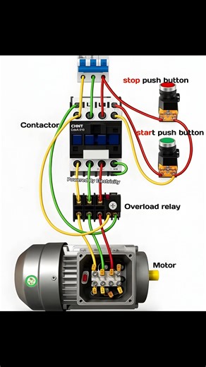 shows the control circuit and power of a three-phase electric motor that uses a contactor, start-stop button and overload relay as a control and safety system. | 𝘗𝘰𝘸𝘦𝘳𝘦𝘥 𝘉𝘺 𝘌𝘭𝘦𝘤𝘵𝘳𝘪𝘤𝘪𝘵𝘺
