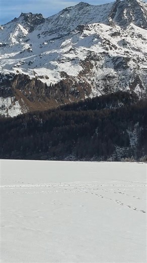 #ทะเลสาบซิลส์ อยู่ที่ระดับความสูง 1,800 เมตร ลึก 80 เมตร เป็นทะเลสาบในจังหวัดกราอูบุนเดน ประเทศสวิตเซอร์แลนด์ ในฤดูหนาวน้ำในทะเลสาบจะกลายเป็นน้ำแข็ง และมีหิมะปกคลุม #หิมะ #ความสุข #ฤดูหนาว #สวิสเซอร์แลนด์🇨🇭 #ปีหน้าจะเล่นสกี 🥰 | จวนนิต้า ป๊าตั้งให้