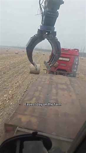 Easiest Day on the Farm: Fun Moments and Farming Life