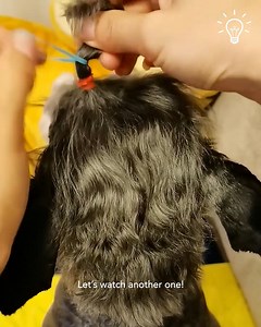 7M views · 182K reactions | This dog enjoys getting his hair done | Simple ideas | Facebook