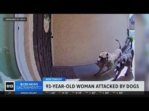 Modesto woman hospitalized after being attacked by neighbor's dogs, police say