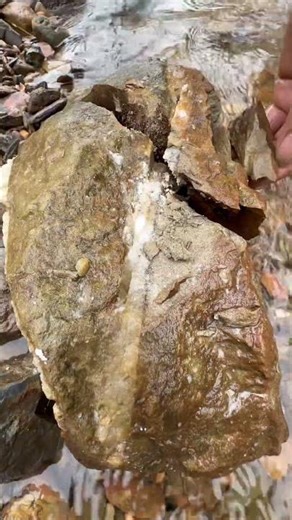 gold prospecting for beginner ✅🧽