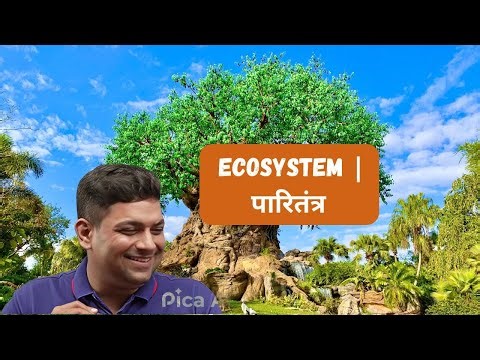 MATH | CHAPTER 7 | TRIANGLE