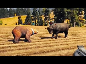 Insane Animal Fights & Attacks in Far Cry 5